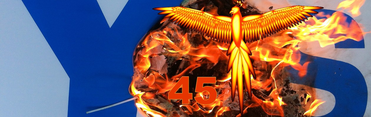 Phoenix45